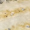 Picture of AK-Interactive: (Texture) TERRAINS DESERT SAND - 250ml (Acrylic)