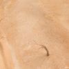 Picture of AK-Interactive: (Texture) TERRAINS SANDY DESERT - 250ml (Acrylic)