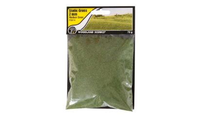 Picture of Woodland Scenics: 2mm Static Grass - Medium Green - FS614