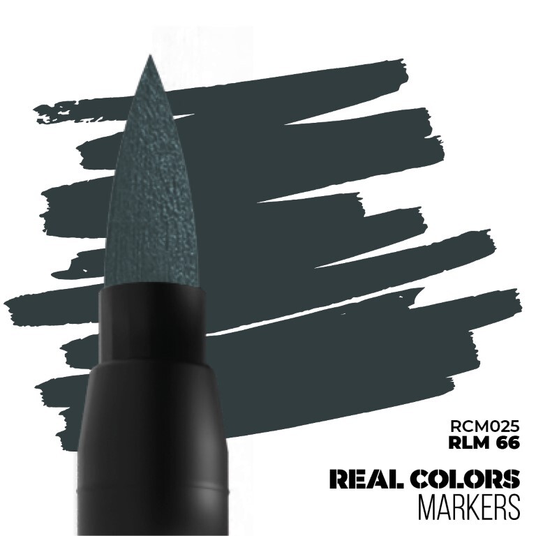 RCM025 - RLM 66